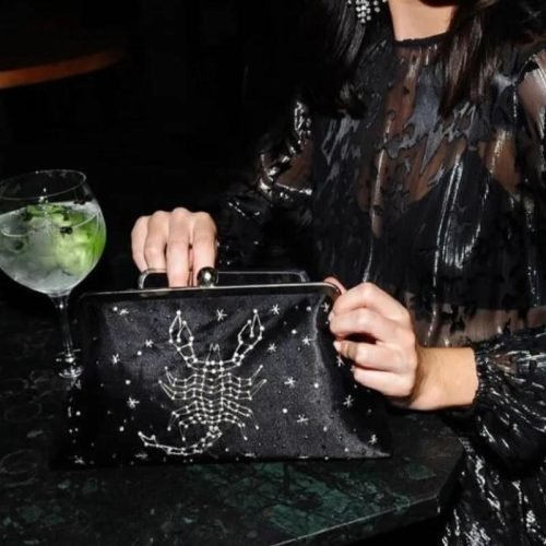 Sarah's Bag - Astro Clutch