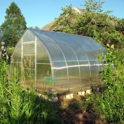 Classic Arch Greenhouse
