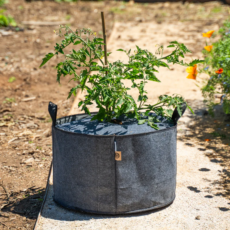 Fabric Grow Bags